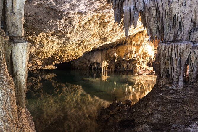 Turtles & Cenote! Half Day from Riviera Maya & Playa del Carmen - What the $110 price really covers