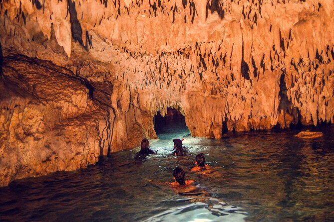 Turtles & Cenote! Half Day from Riviera Maya & Playa del Carmen - Who will get the most from this tour