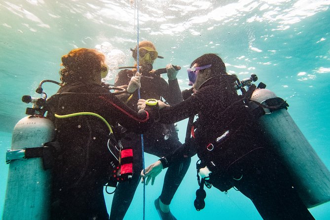 Two reef discovery dives with professional instructor (no experience necessary) - Why this is a smart first scuba outing