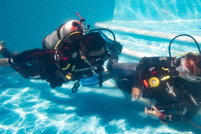 Two reef discovery dives with professional instructor (no experience necessary) - What you might see below the surface