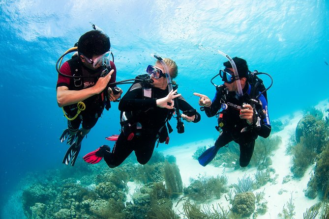 Two reef discovery dives with professional instructor (no experience necessary) - The instructors make the biggest difference
