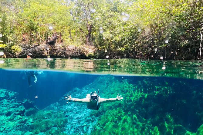 VIP Cenotes & ATVs Private Tour - Private transport and the value of a flexible start