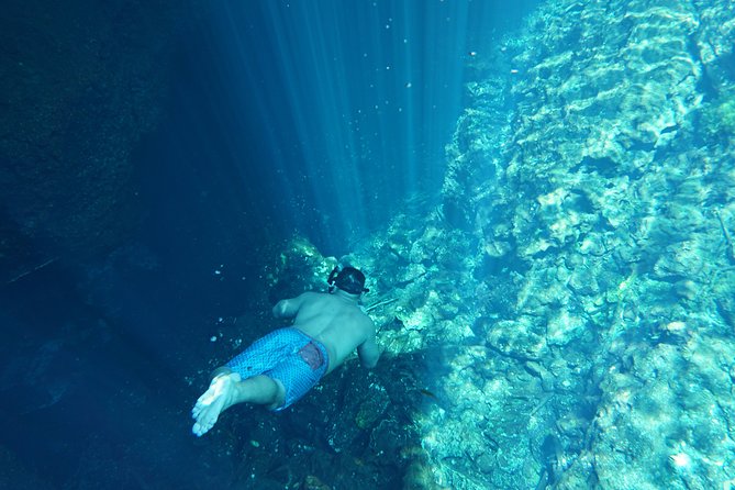 VIP Cenotes Private Tour - What the private guide adds