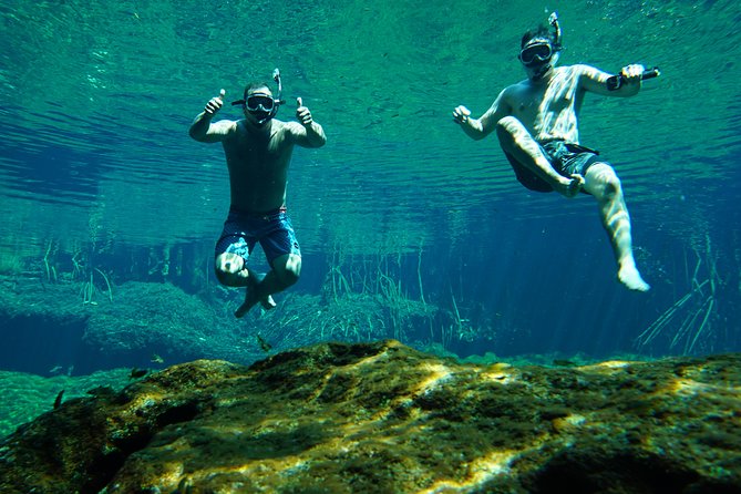 VIP Cenotes Private Tour - What the $205 price means