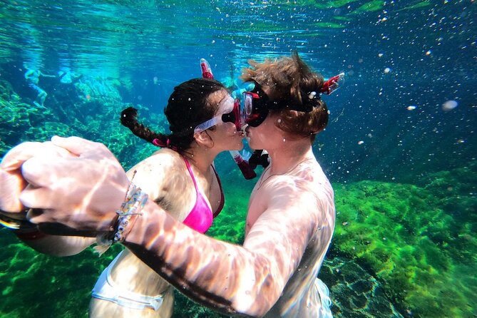 VIP Cenotes Private Tour (half-day) - The ceviche stop is more than a meal break