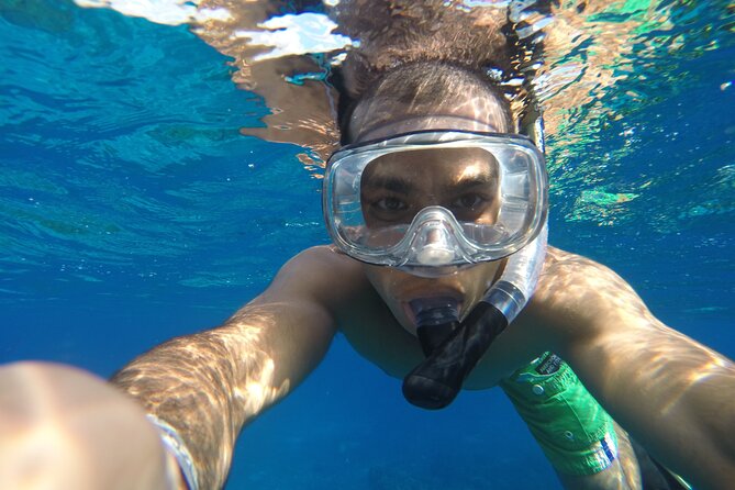 VIP Cenotes Private Tour (half-day) - Who will enjoy this half-day outing?