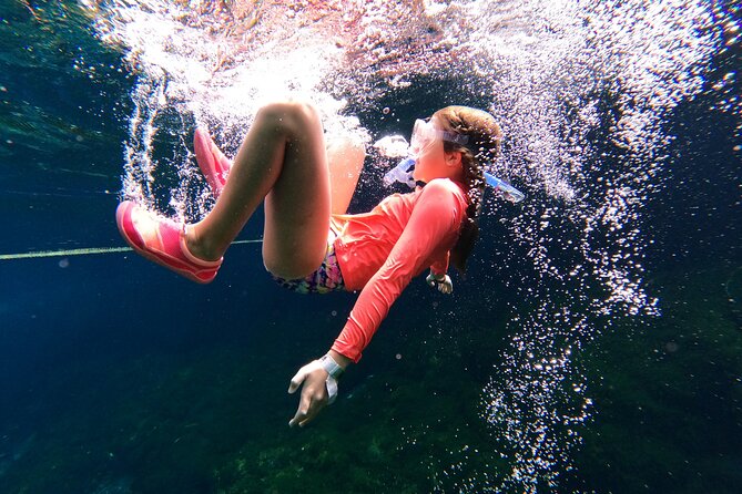 VIP Cenotes Private Tour (half-day) - Cenote Xunaan Ha: jungle water and open-air swimming