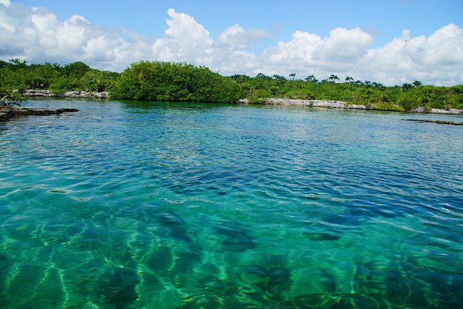 VIP Cenotes Private Tour - Yal-ku Lagoon: start with fish and open sky