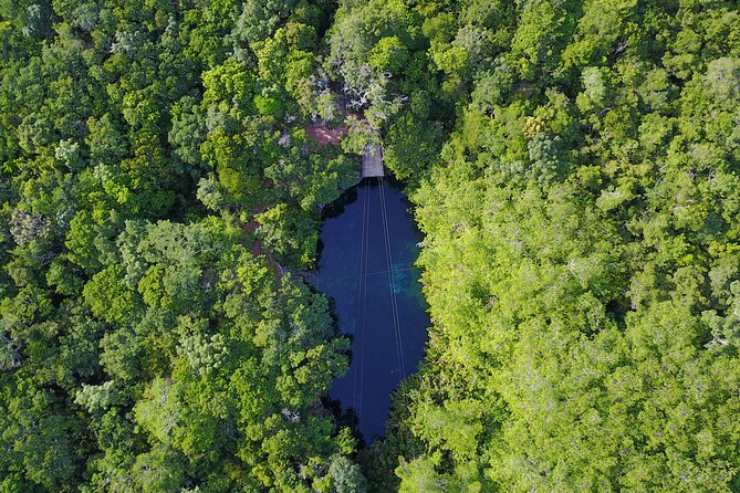 VIP Cenotes & Turtles Private Tour - Open jungle water at Cenote Xunaan Ha