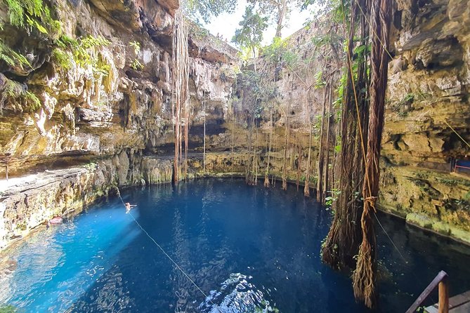 VIP Chichen Itza Private Tour - The private vehicle and guide make the long day easier