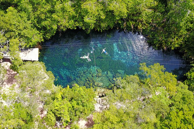 VIP Tulum & Turtles Private Tour - What private guiding adds to the morning
