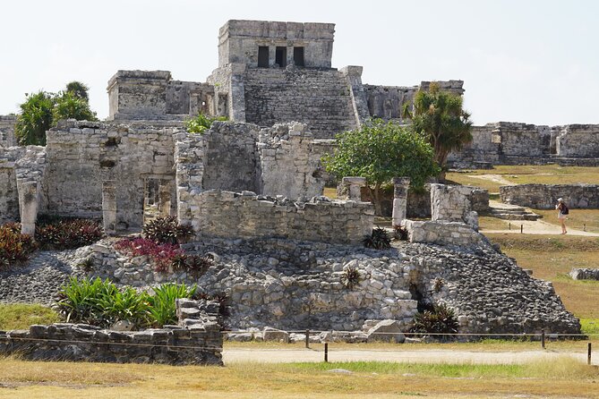 VIP Tulum & Turtles Private Tour - Does the $205 price make sense?