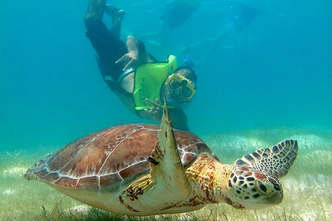 VIP Tulum & Turtles Private Tour - Tulum’s ruins beside the Caribbean Sea