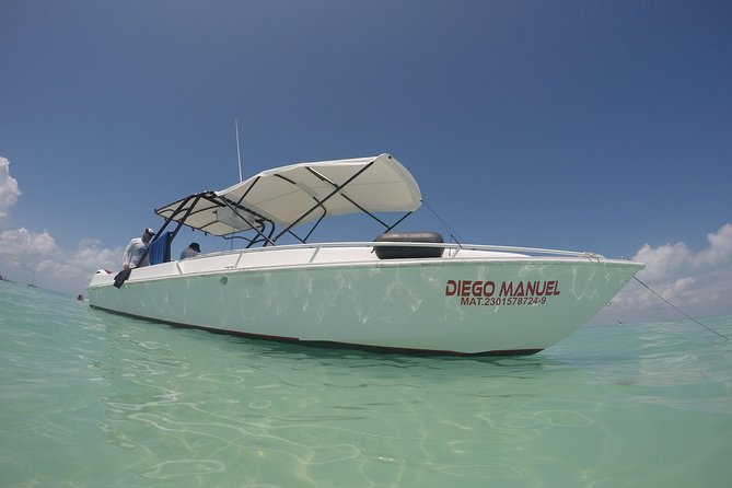 Whale shark encounter Private tour - swim with whale shark cancun - What the two-person snorkeling rounds are like