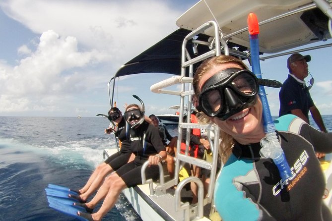 Whale shark encounter Private tour - swim with whale shark cancun - Sandwiches, fruit, and lunch near Isla Mujeres