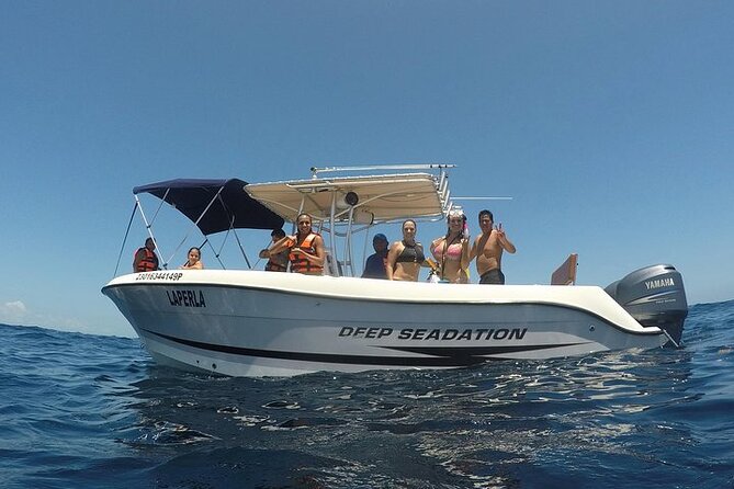 Whale Shark Experience from Playa del Carmen - Snacks, soda, ceviche, and guacamole