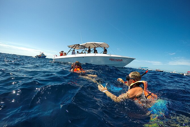 Whale Shark Snorkeling Adventure with Lunch - Guides can make or break the experience
