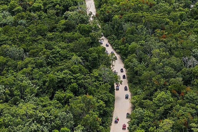 Wild Jungle ATV Adventure with Cenote and Monkey Sanctuary - Lunch and the value of a five-hour outing