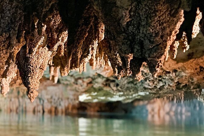 Wild Jungle ATV Adventure with Cenote and Monkey Sanctuary - Weather, timing, and booking flexibility