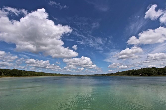 Wild Monkey Adventure (Private, Full Day) - The cenote is memorable, but not effortless