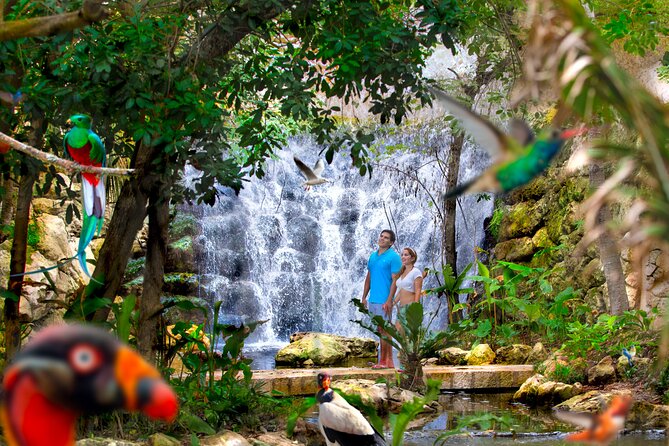 Xcaret Park Plus Access with Transportation and Night Show - Cultural performances beyond the water