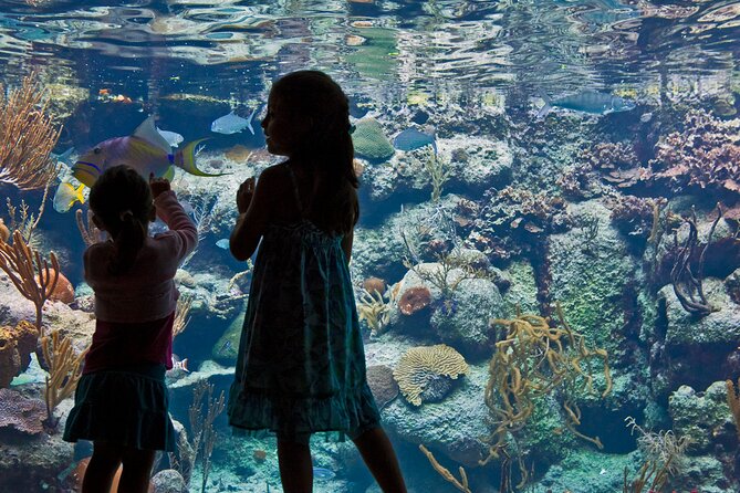 Xcaret Park Plus Access with Transportation and Night Show - Lunch, drinks, and the real value of the package