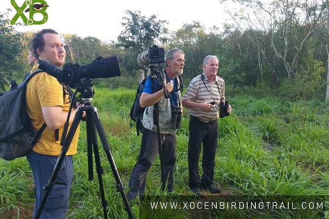 Xocen Birding - Why Xocén is worth the early alarm