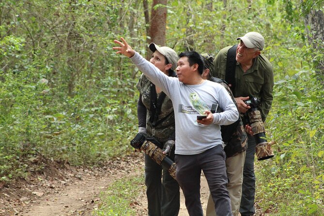 Xocen Birding - The practical cost of getting there