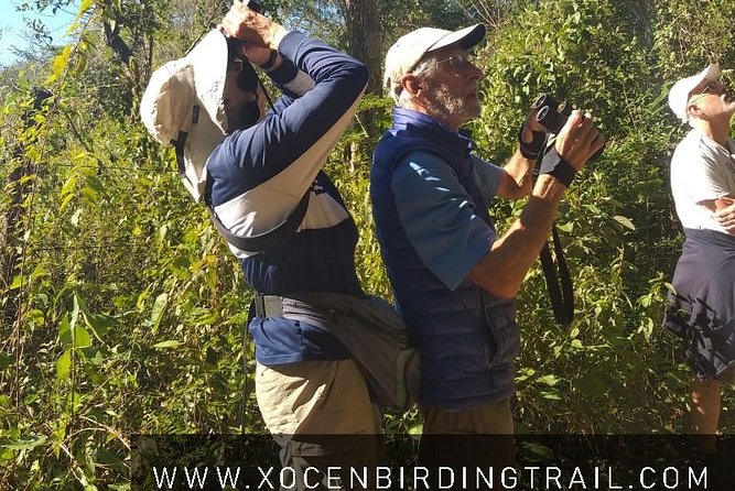 Xocen Birding - Why the guide makes the difference
