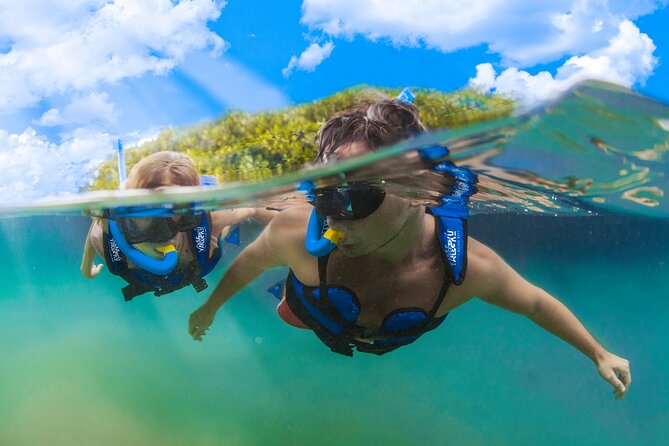 YAL-KU Park in Riviera Maya Admission Ticket - Choosing the Right Ticket