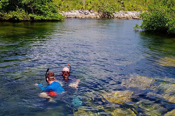 Yalku lagoon and turtles akumal sanctuary - Key Details Before You Book